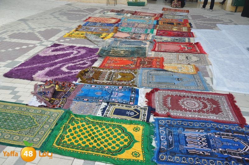 zahra2 lud 114 (12).JPG